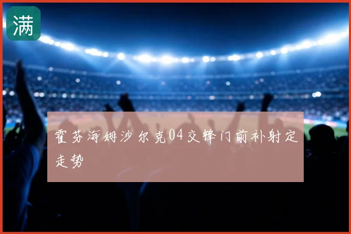 霍芬海姆沙尔克04交锋门前补射定走势